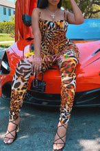 Load image into Gallery viewer, Orange Tiger Set
