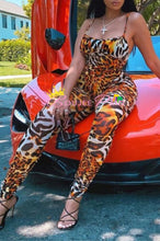 Load image into Gallery viewer, Orange Tiger Set
